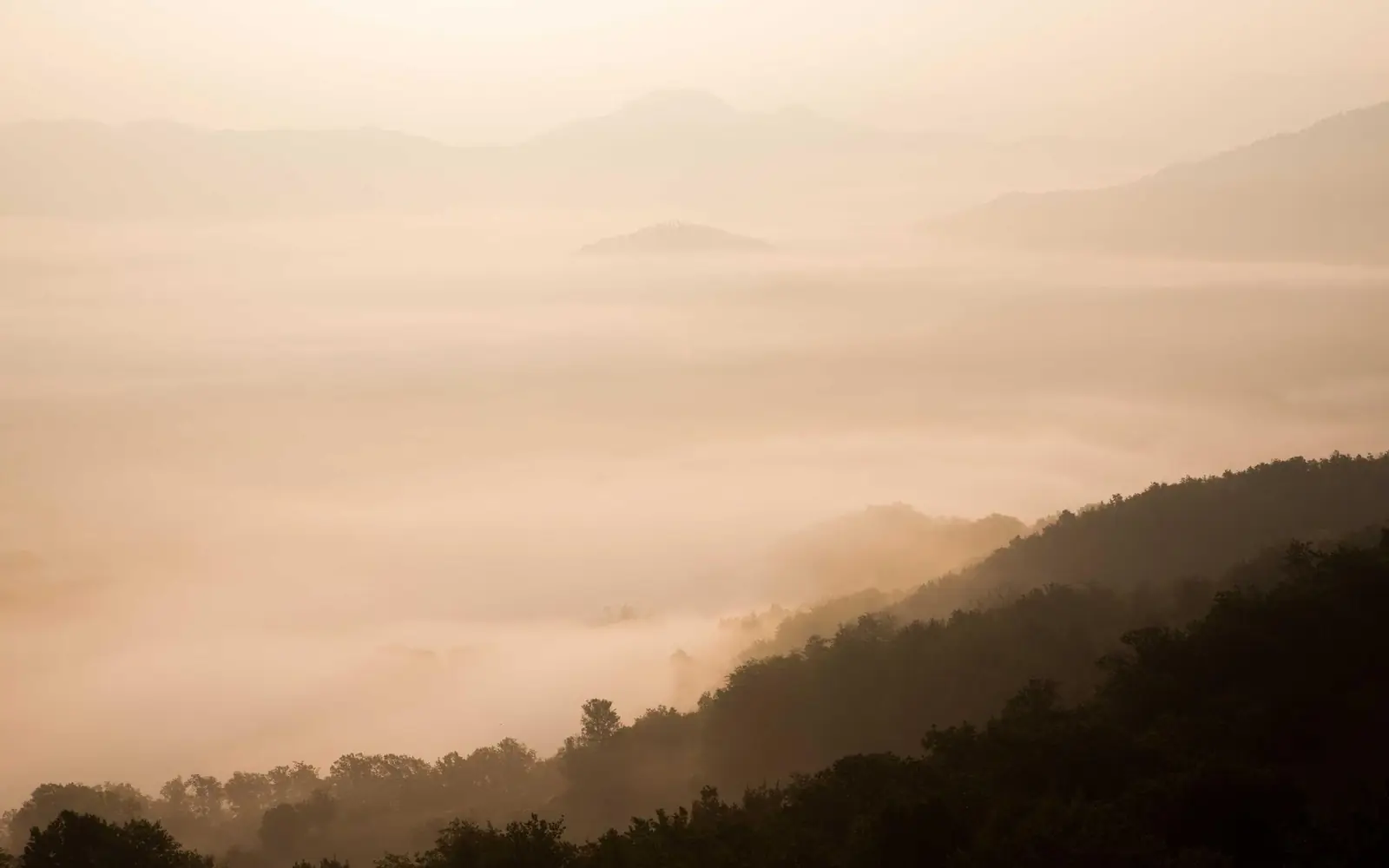 Collines du Libournais dans la brume du matin