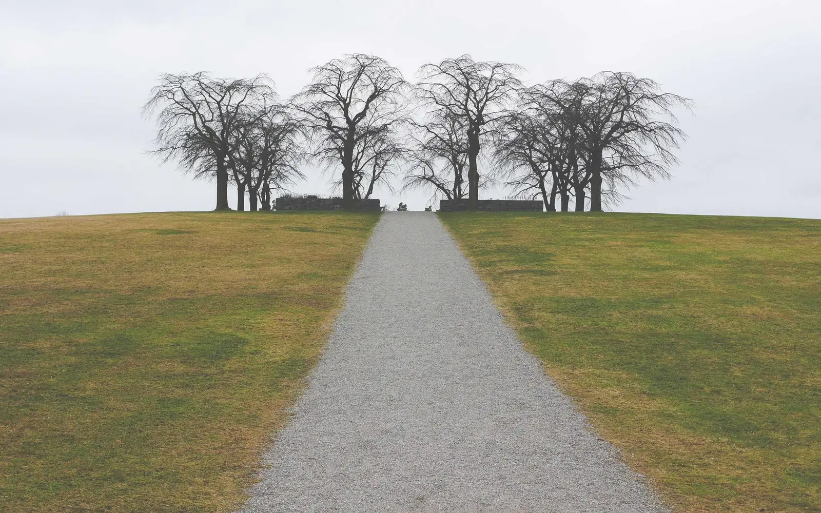 Chemin de gravier entre deux prés, vers un bosquet